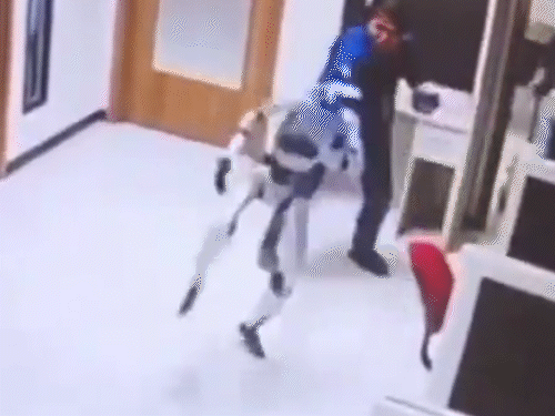 VIDEO of robot attack in Indonesia goes viral:Garners 10 crore views; reignites safety debate