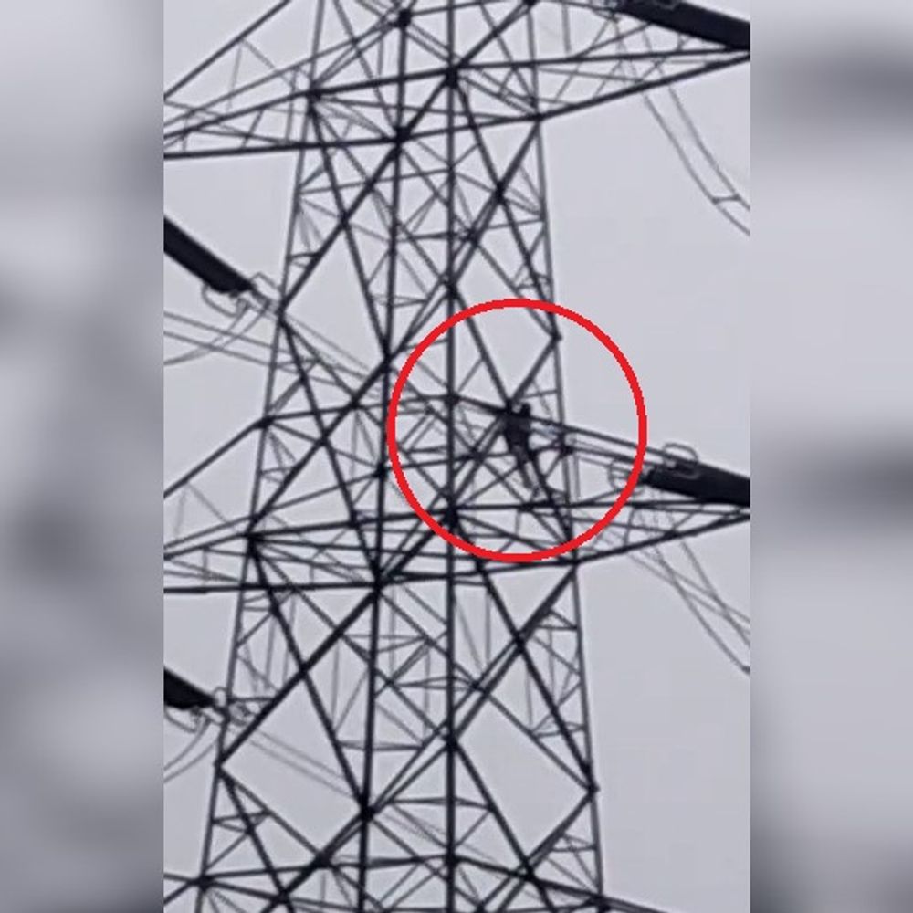 शराब की दो बोतलों ने करवाया लाखों का नुकसान:सतारा के नशा मुक्ति केंद्र में भर्ती शख्स शराब की दो बोतलों के लिए हाईटेंशन पोल पर चढ़ा, बिजली विभाग को हुआ 10 लाख का नुकसान