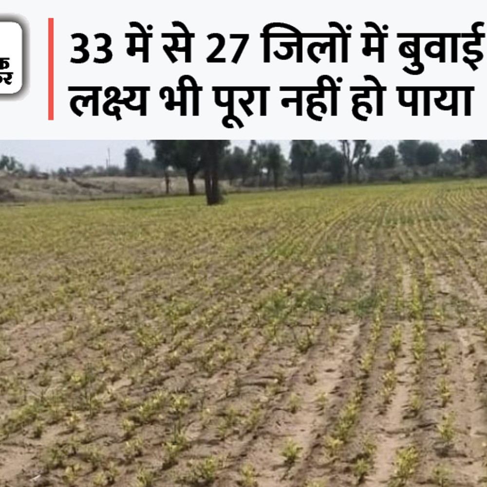 पूर्वी राजस्थान में जबरदस्त बारिश, पश्चिम में अकाल:बीकानेर, जैसलमेर, बाड़मेर, बांसवाड़ा और जोधपुर में किसान संकट में, नलों में पानी तक नहीं आ रहा, बर्बाद हो रही फसलें