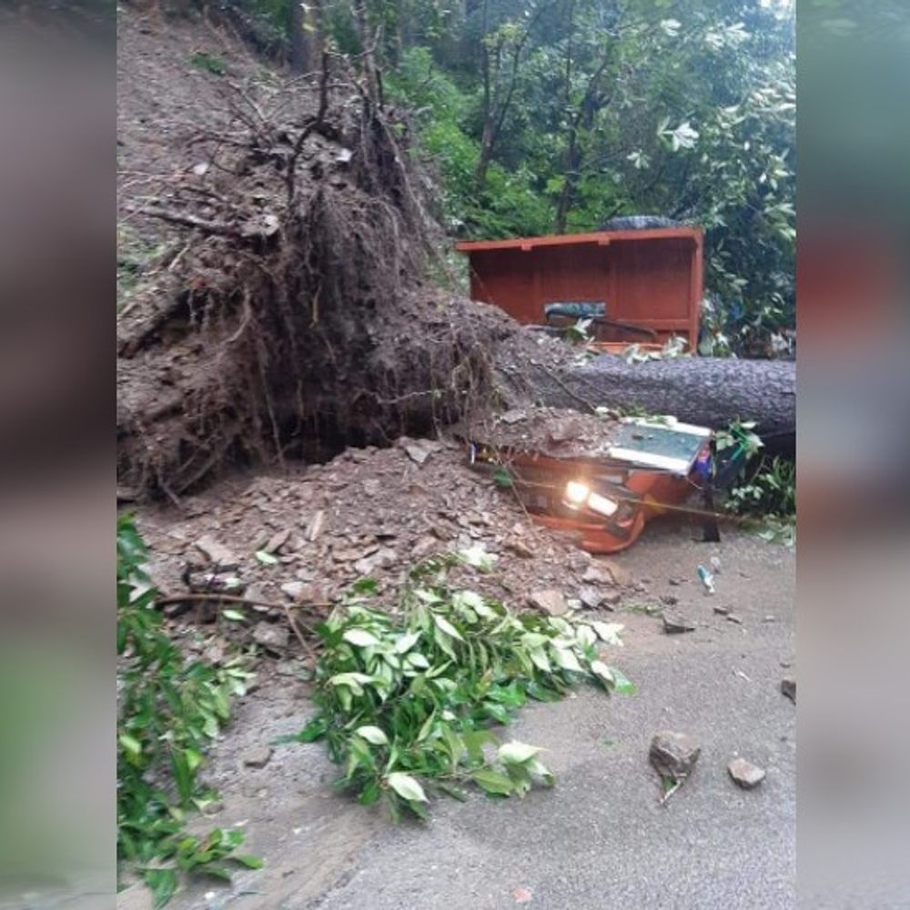 हिमाचल प्रदेश में मौसम के बदले रंग से नुकसान:3 दिन से हो रही बारिश के बीच पेड़ गिरने से कई वाहन क्षतिग्रस्त; एक बस खाई में गिरते-गिरते बची; आज कुल्लू में आया भूकंप