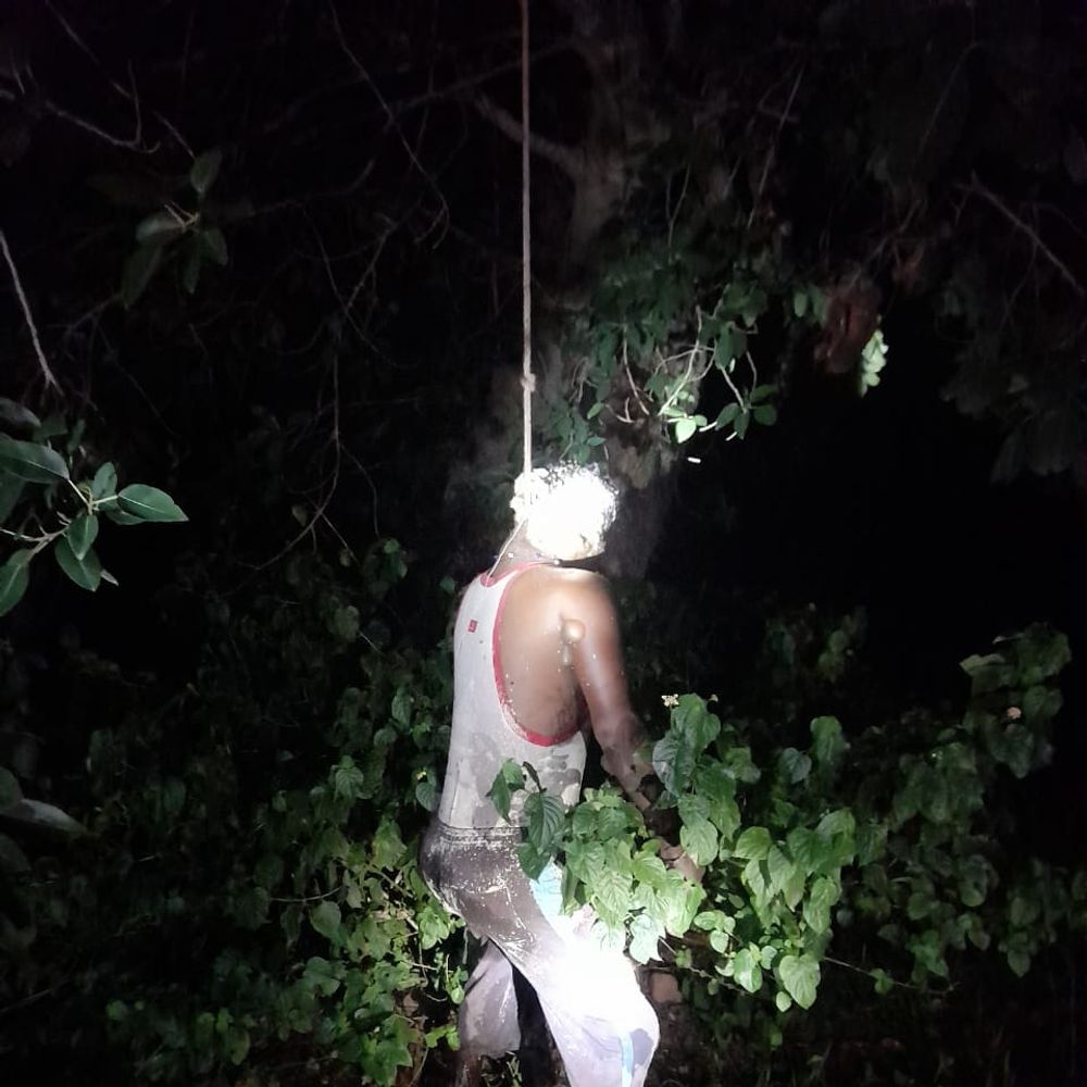 इटारसी में पेड़ पर लटका मिला आदिवासी युवक का शव:23 अगस्त से था लापता, तीसरे दिन खेत में फांसी के फंदे पर लटका मिला शव, एक साल दिमागी रुप से परेशान था मृतक, आत्महत्या की आशंका