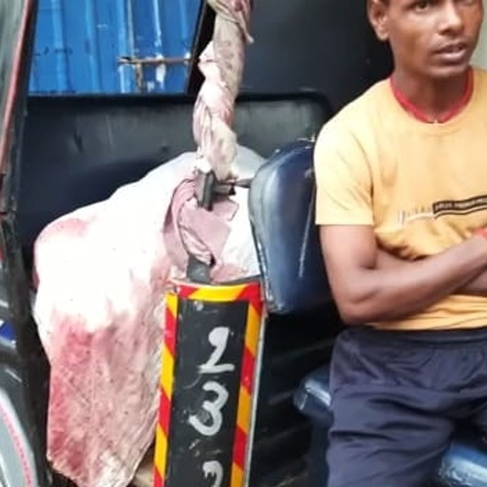 औरंगाबाद में ट्रेन से कटकर शिक्षक की मौत: धीमी हो गई ट्रेन से प्लेटफॉर्म पर उतरने के क्रम में चपेट में आ गए - Aajtak24