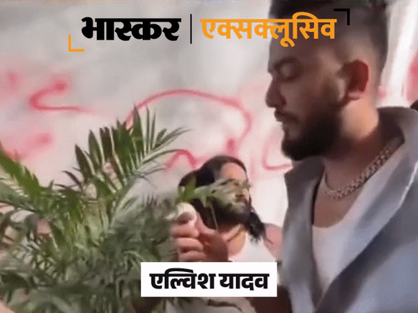 एल्विश की पार्टी, गले में सांप, जुआ-कसीनो, रशियन लड़कियां:सामने आए स्टिंग करने वाले गौरव, बोले- अभी और नाम सामने आएंगे