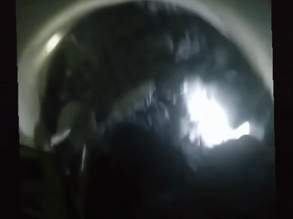 ‘हमें डर नहीं लगता’ कहकर घुसे, 41 मजदूरों को बचाया:मिलिए रैट माइनर्स से, 21 घंटे खोदा और 418 घंटे का रेस्क्यू खत्म