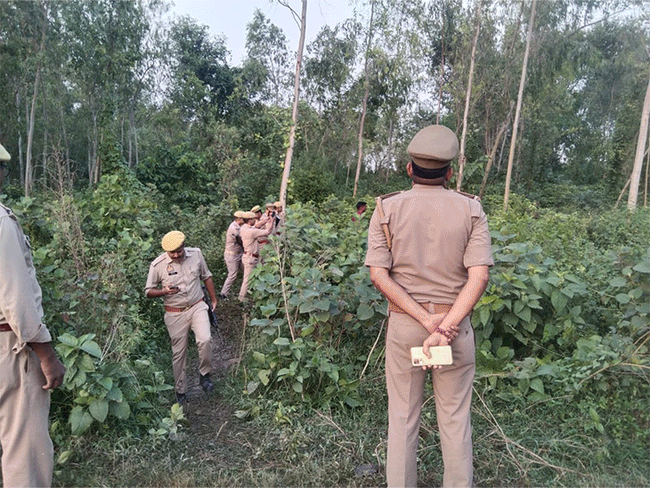 7 महीने, 4 थाने, 11 मर्डर, 250 गांवों में दहशत:टारगेट पर अकेली महिलाएं, क्या बरेली में घूम रहा सीरियल किलर