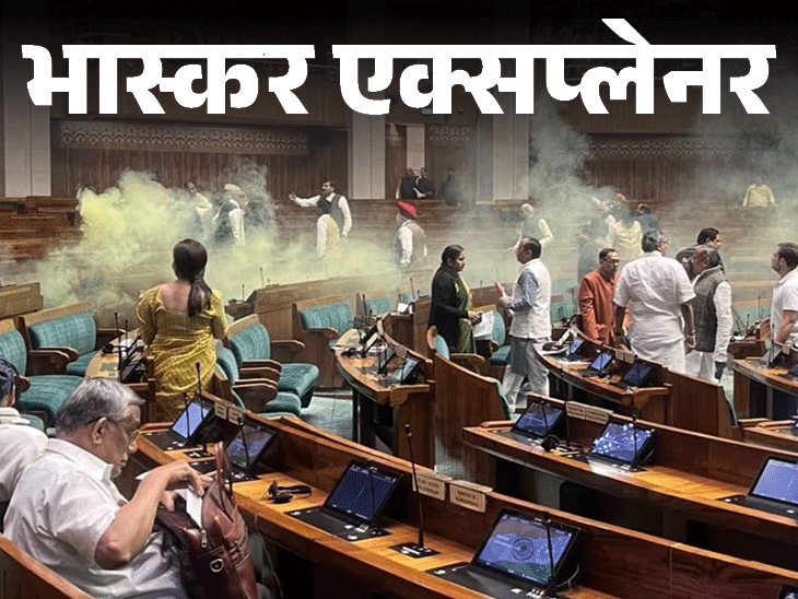 भास्कर एक्सप्लेनर- सांसद के दस्तखत बिना नहीं मिलते पास:कपड़े, जूते और शरीर की 3 बार होती है जांच; सुरक्षा में कैसे लगी सेंध