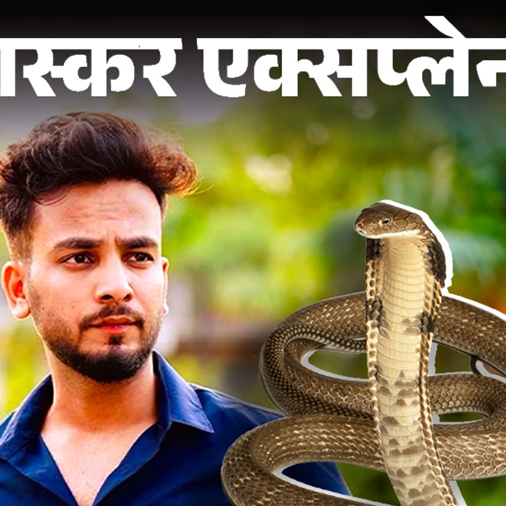 भास्कर एक्सप्लेनर-एल्विश पार्टी में इस्तेमाल करते थे सांपों का जहर:सांप से कैसे कटवाते हैं, कितने दिन रहता है नशा; 3 मामलों से समझिए