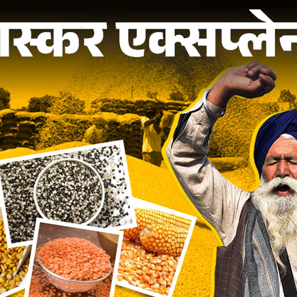भास्कर एक्सप्लेनर- किसानों को क्यों नहीं पसंद आया सरकारी प्रस्ताव:जिन 5 फसलों की खरीद का वादा किया, उनकी कीमत MSP से ज्यादा
