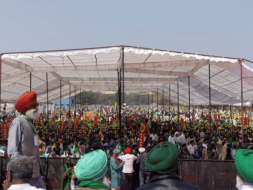 38 दिन, 12 मौतें, क्यों कमजोर पड़ रहा किसान आंदोलन:राजनीति के चक्कर में फूट पड़ी, अलग-अलग प्रोटेस्ट कर रहे किसान नेता