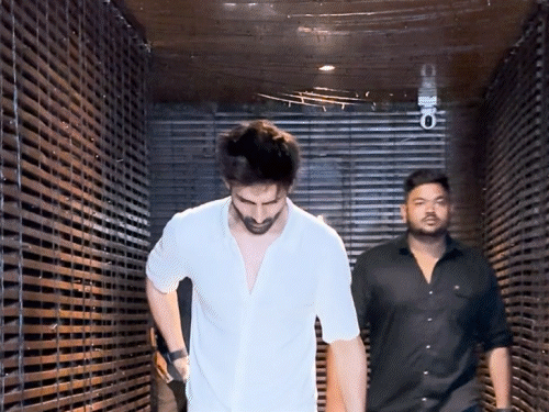 कार्तिक आर्यन ने सेलिब्रेट किया बहन का बर्थडे:सोशल मीडिया पर शेयर की तस्वीर; यूजर्स ने दिया रिएक्शन, कहा- बेस्ट सिबलिंग