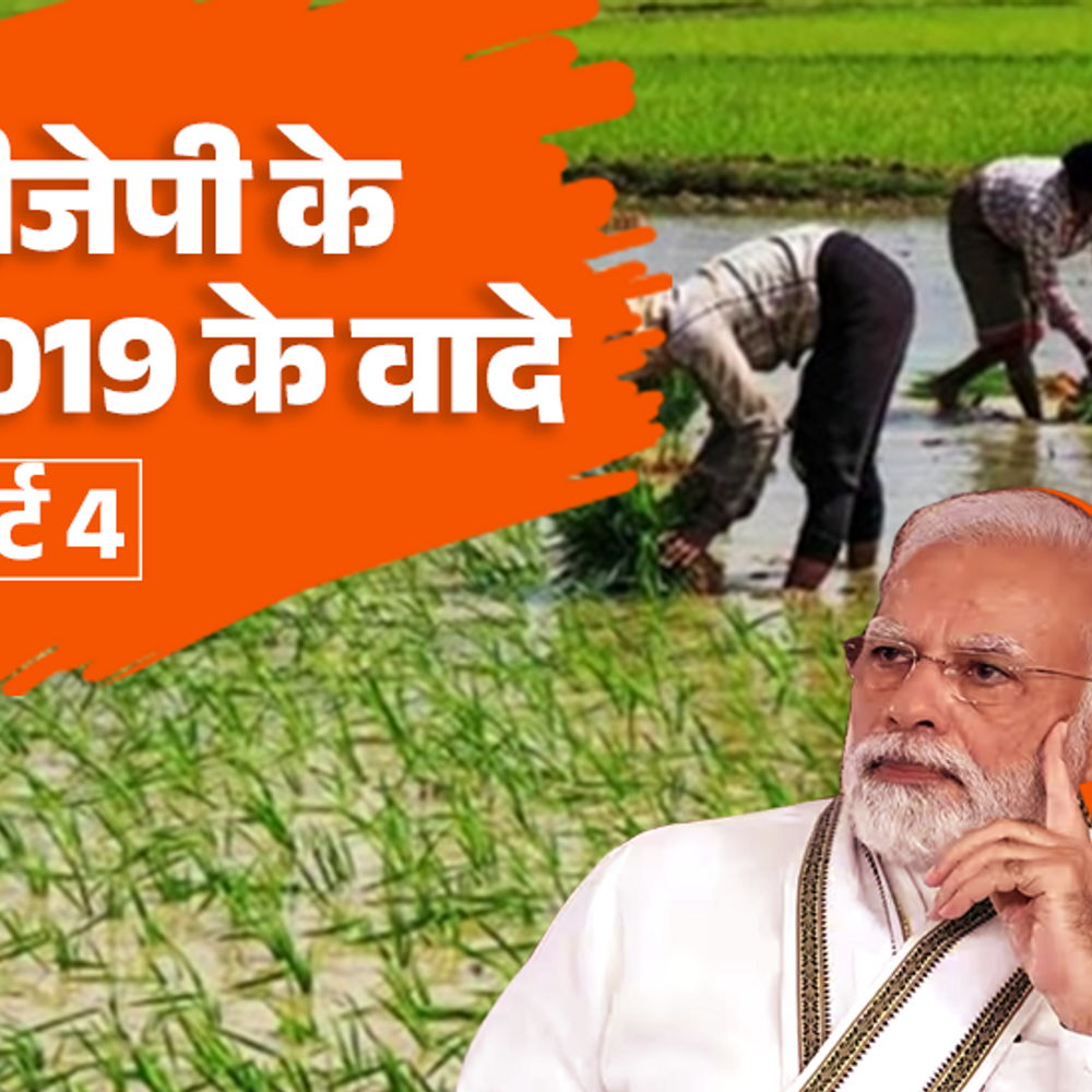 बीजेपी के 2019 के वादों की पड़ताल, पार्ट 4:जनकल्याण से जुड़े 55% वादे पूरे; स्वास्थ्य और किसानों की आय पर कितना चूकी सरकार