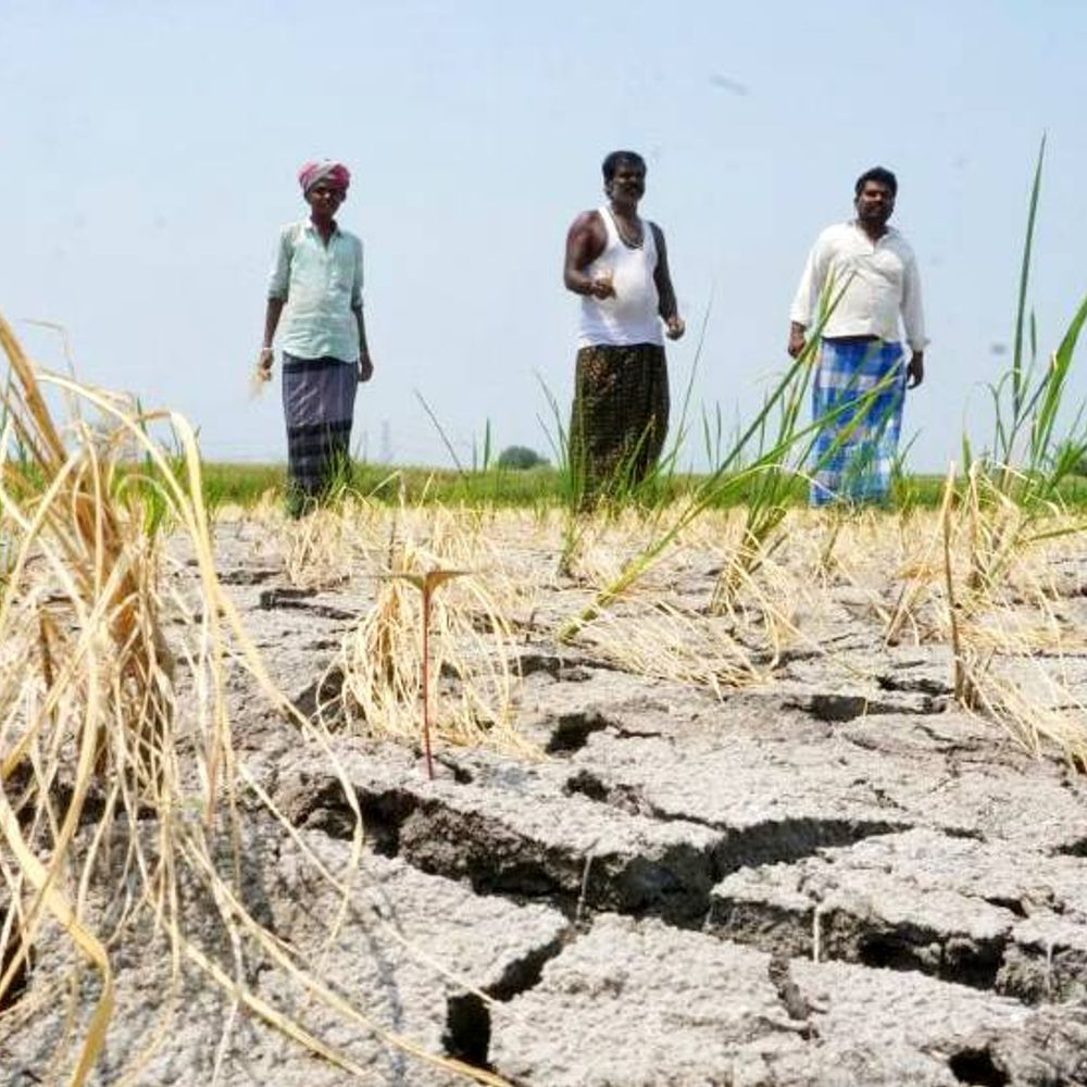 कर्नाटक में सूखे से निपटने के लिए केंद्र फंड देगा:चुनाव आयोग ने मंजूरी दी; सिद्धारमैया बोले- मामले में दखल के लिए SC का शुक्रिया