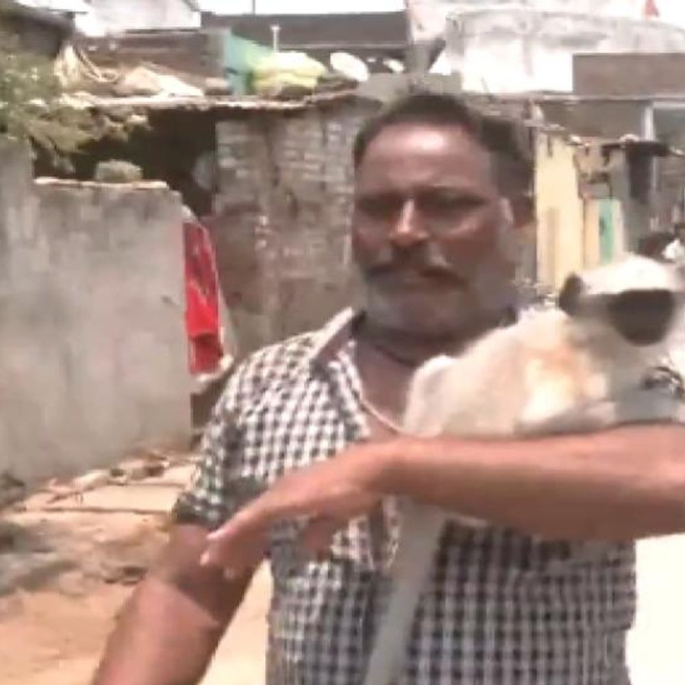 मतदान के अनोखे रंग:महाराष्ट्र में शख्स ने अपने बन्दर के साथ वोट डाला; बिहार में दुल्हन ने विदाई से पहले मतदान किया