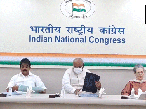 आज कांग्रेस CEC की दिल्ली में बैठक:यूपी की अमेठी और रायबरेली सहित बाकी की सीटों से कैंडिडेट्स के नाम हो सकते हैं तय