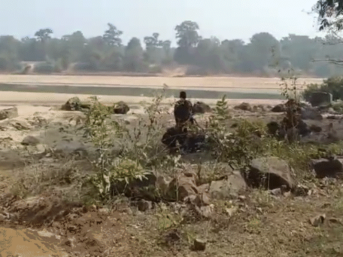 छत्तीसगढ़-महाराष्ट्र बॉर्डर पर मुठभेड़, 7 नक्सली मारे गए:इनमें दो महिलाएं भी, मौके से AK-47 समेत भारी मात्रा में हथियार-विस्फोटक बरामद