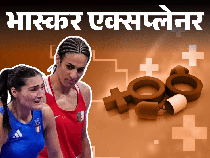 भास्कर एक्सप्लेनर- ओलिंपिक में महिला को 'पुरुष' बॉक्सर से लड़ाया:कैसे तय होता है मेल-फीमेल; इमान खलीफ विवाद से जुड़े 7 सवालों के जवाब