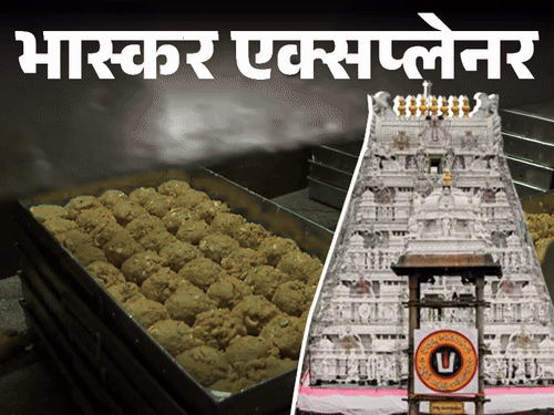 भास्कर एक्सप्लेनर-क्या तिरुपति मंदिर के लड्डू में चर्बी:घी का ब्रांड बदलने से कैसे खड़ी हुई इतनी बड़ी कंट्रोवर्सी; 10 सवालों में पूरी कहानी