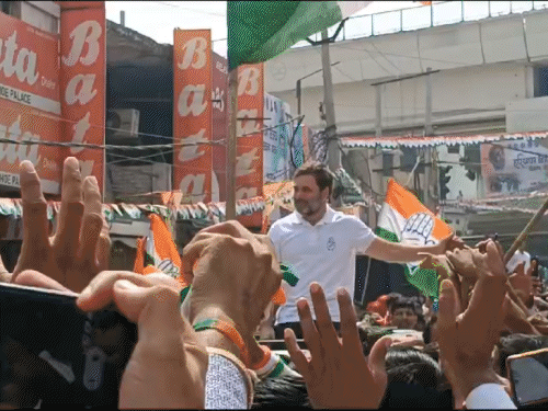 राहुल गांधी की हरियाणा विजय संकल्प यात्रा जारी, बहादुरगढ़ से शुरू हुआ दौरा