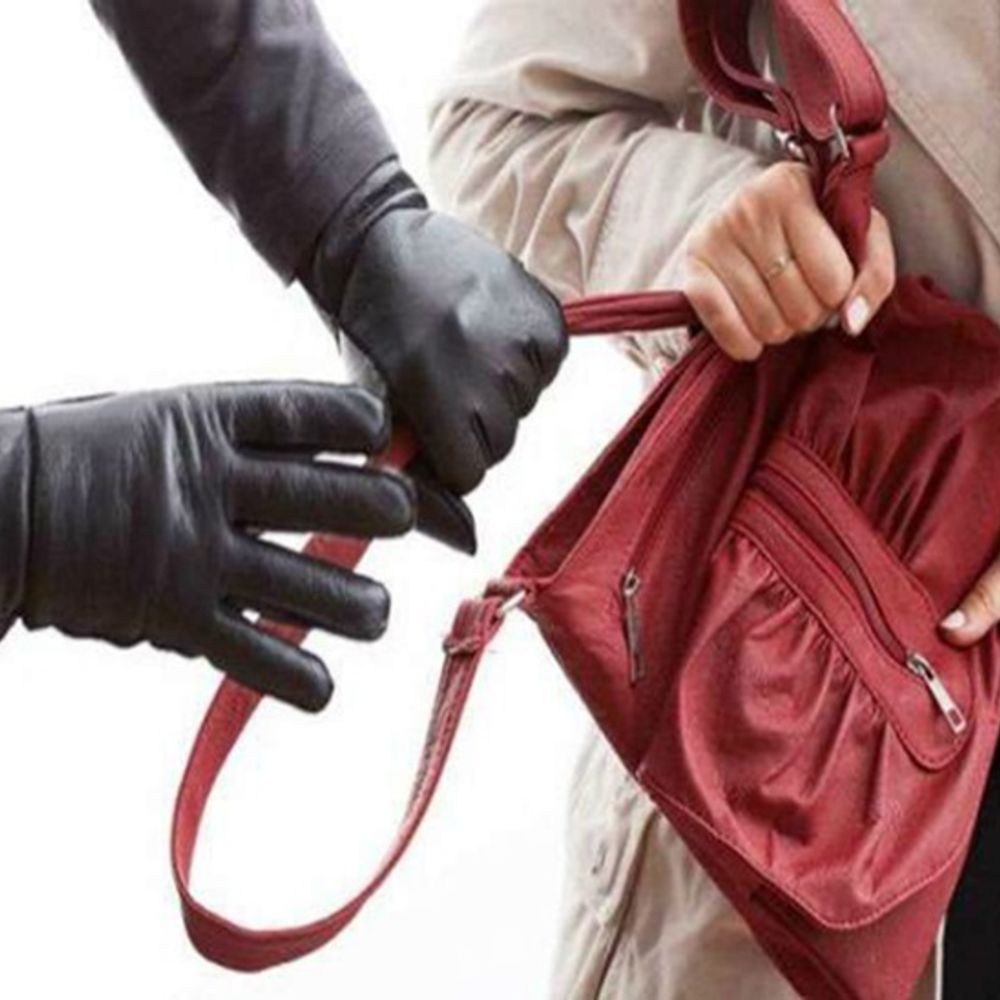 रोहतक में महिला से छीना-झपटी:बाजार से लौटते समय वारदात, मोटरसाइकिल सवार बदमाश छीन ले गए रुपयों से भरा बैग