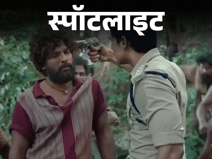 स्पॉटलाइट- पुष्पा को ‘ब्रांड’ बनाने वाले लाल चंदन की कहानी:2 लाख रुपए प्रति किलो में बिकता है, सिर्फ भारत में होती है इसकी खेती