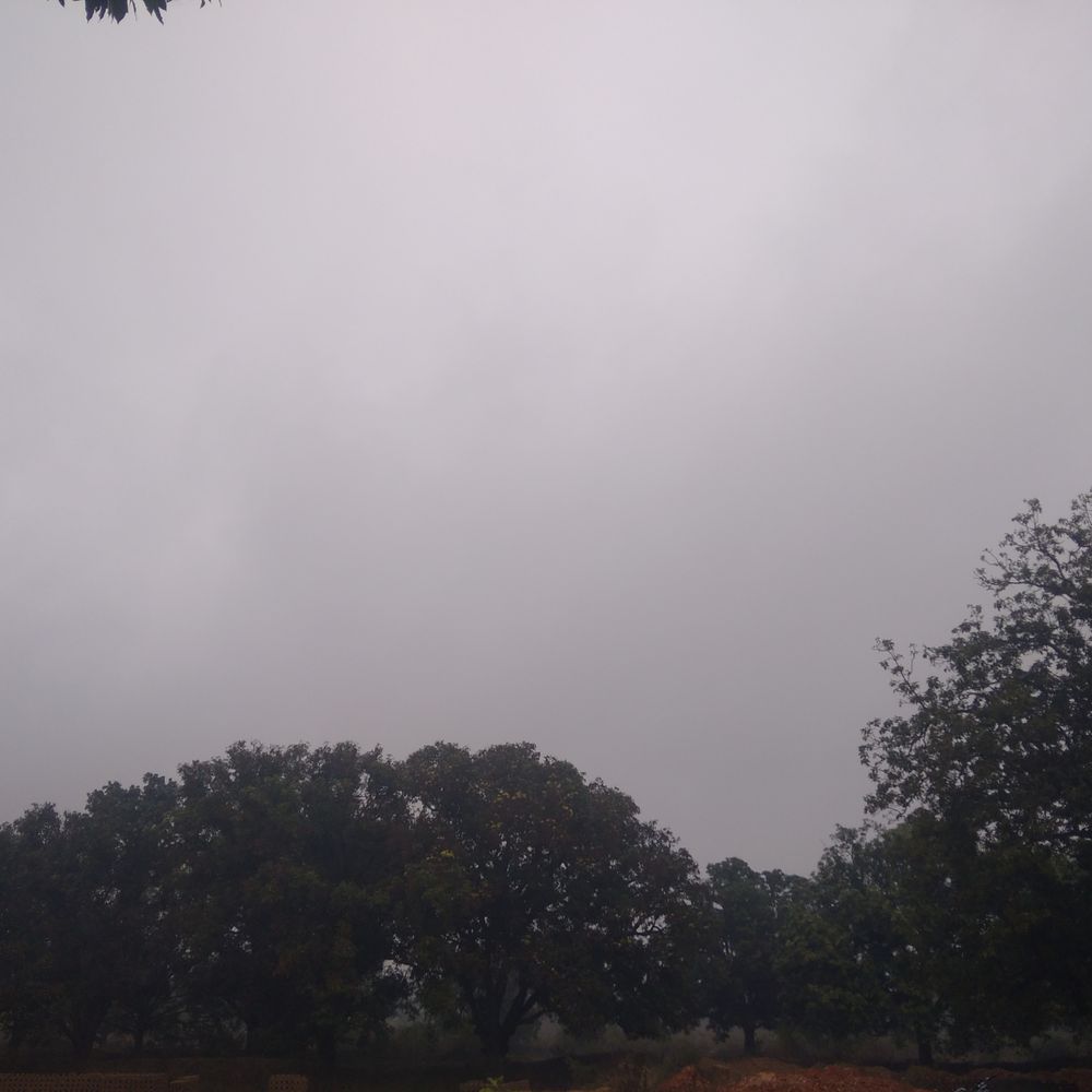 अनूपपुर में घने कोहरे के साथ नए साल की शुरुआत:न्यूनतम तापमान 9 डिग्री सेल्सियस तक पहुंचा, नर्मदा दर्शन के लिए अमरकंटक पहुंचे श्रद्धालु