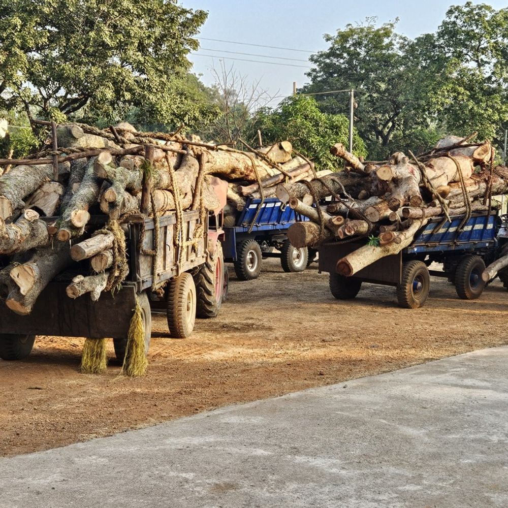 बालोद में बेशकीमती लकड़ियों का अवैध परिवहन:वन विभाग ने जब्त किए 8 ट्रैक्टर; रेलवे फाटक, चेक-पोस्ट के पास पकड़ा