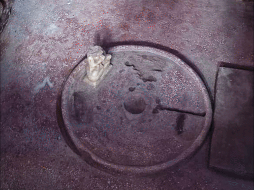 टूटी मूर्तियां-शिवलिंग गायब, मुरादाबाद की मुस्लिम बस्ती में मिला मंदिर:हिंदू बोले- दंगे हुए, 44 साल से बंद; मुस्लिमों को पूजा से दिक्कत नहीं