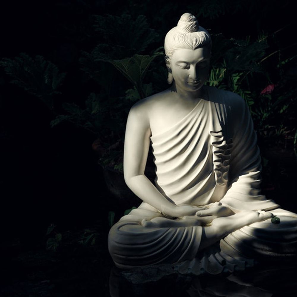 बुद्ध की सीख: सुख-शांति चाहते हैं तो मोह से बचें:लोग अपनी चीजों से इतना मोह रखते हैं कि वे अपना लक्ष्य ही भूल जाते हैं