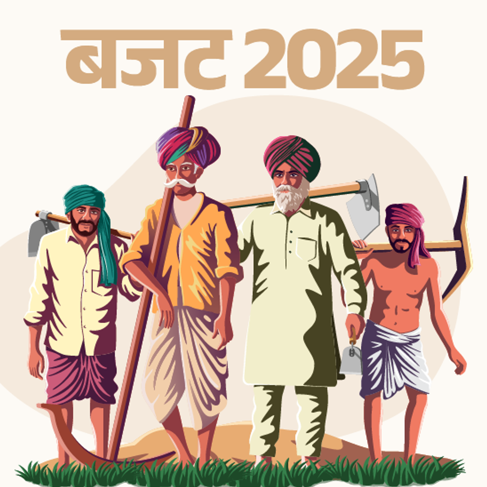 बजट 2025 में काम की बड़ी योजनाओं का जिक्र नहीं:5 लाख रुपए लोन ले सकते हैं किसान, बुजुर्गों के लिए टैक्स छूट लिमिट दोगुनी हुई