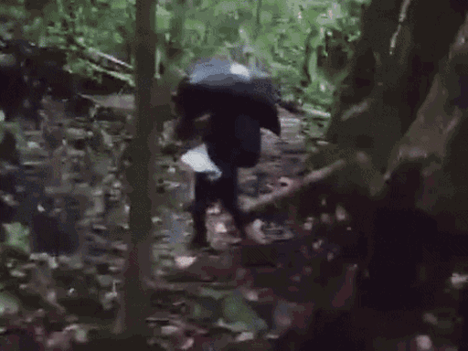 हरियाणा के दंपती डंकी रूट से अमेरिका कैसे पहुंचे:​​​​​​​डोंकरों ने पीटा, बच्चों को करंट लगाया, मैक्सिको बॉर्डर पर जबरन धकेला; ₹1.20 करोड़ गंवाए