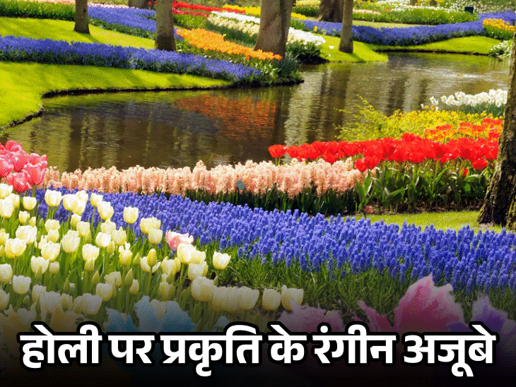 15 तस्वीरों में प्रकृति के सबसे रंगीन अजूबे:हरा आसमान, इंद्रधनुषी पहाड़, ज्वालामुखी से निकलती नीली आग; अनोखी रंगीन गुफाएं