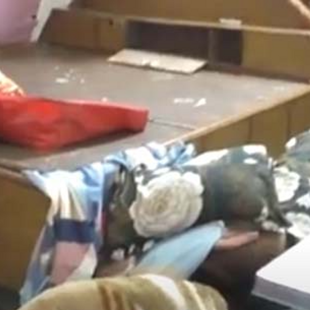 रायगढ़ में एक रात में टूटे 3 घरों के ताले:मकान मालिक समेत किराएदार के यहां चोरी, आसपास के लोगों ने देखा,पुलिस जांच में जुटी