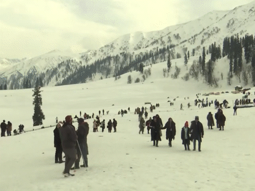 हर 10 में 6 परिवार कश्मीर ट्रिप कैंसिल कर रहे:पहलगाम हमले से डर में लोग, 21% अगले 3 साल कश्मीर नहीं जाएंगे, अमरनाथ यात्रा पर भी असर