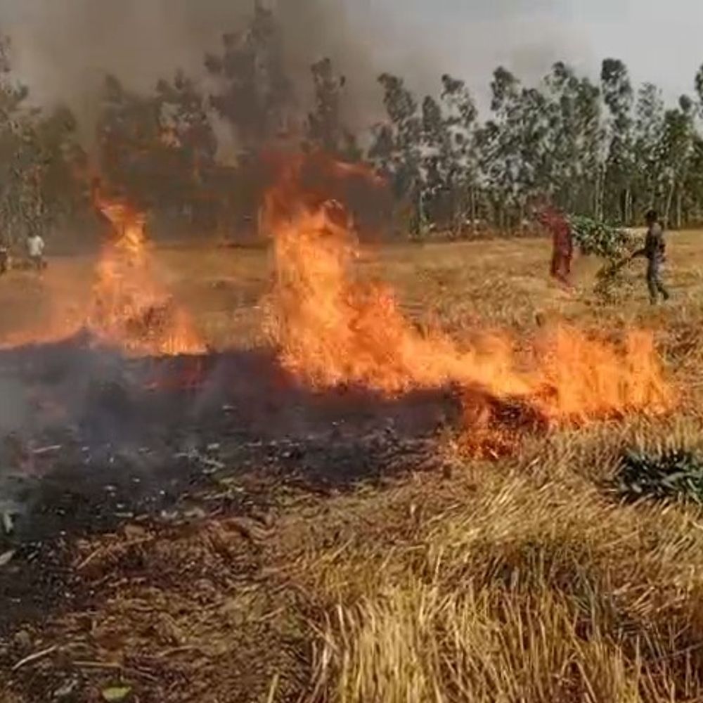 पीलीभीत में गेहूं के खेत में लगी आग:कई एकड़ खेत और भूसे के ढेर जलकर राख, राहगीरों ने बुझाने का प्रयास किया