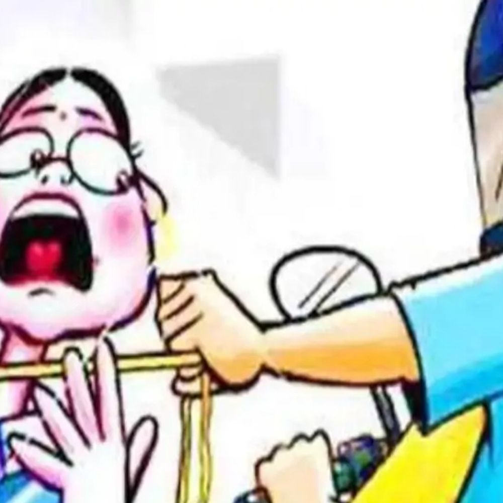 लखनऊ में सेंट्रल बैंक के पास महिला का बैग चोरी:15 सौ रुपए और रेलवे पास रखा था, पुलिस कर रही तलाश