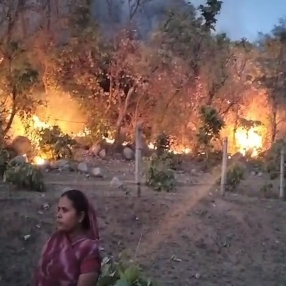 सरगुजा में बांस की नर्सरी में लगी भीषण आग:बुझाने के लिए जूझ रहे ग्रामीण, सूचना के बाद भी अधिकारी नहीं पहुंचे मौके पर