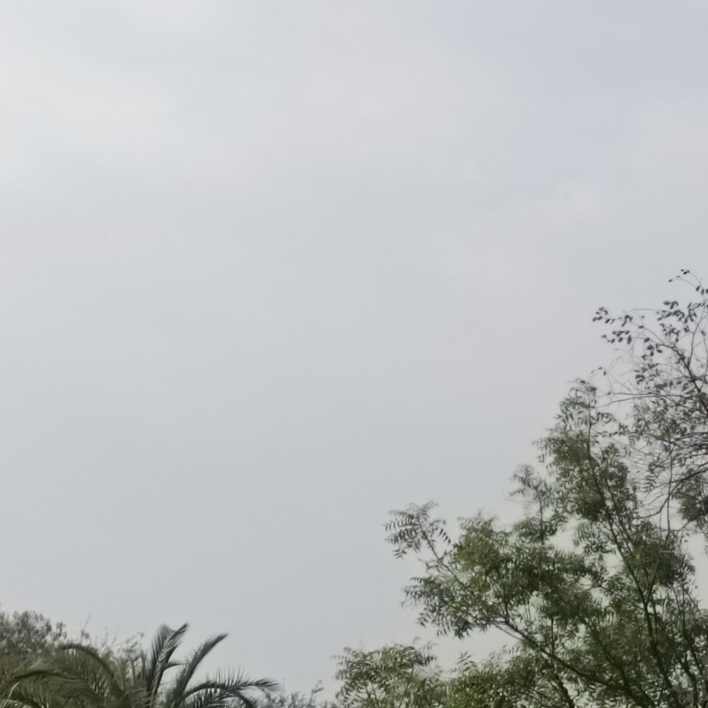 अशोकनगर में मौसम का बदलाव:दो घंटे तेज आंधी के साथ बूंदाबांदी; अगले दो दिन भी बारिश की संभावना