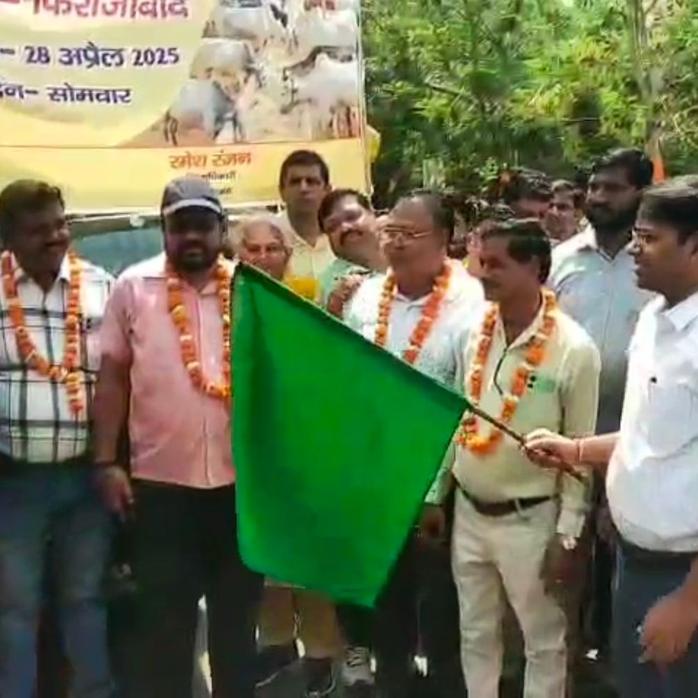 गोवंशों के लिए कर्मचारियों ने दी एक दिन की सैलरी:फिरोजाबाद में पशुओं के लिए खास पहल, 16 हजार कुंतल भूसा जुटा
