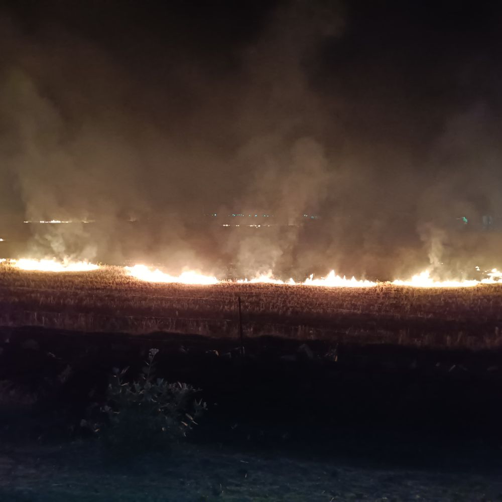कार्रवाई से बचने रात के अंधेरे में जलाई जा रही नरवाई