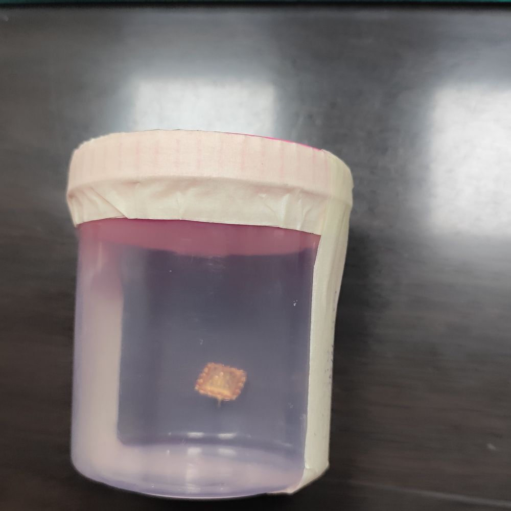 लखनऊ में महिला से टप्स लूटने वाले गिरफ्तार:बहन की मदद से ज्वैलर्स को बेचते थे लूट का माल, तीनों आरोपी जेल भेजे गए