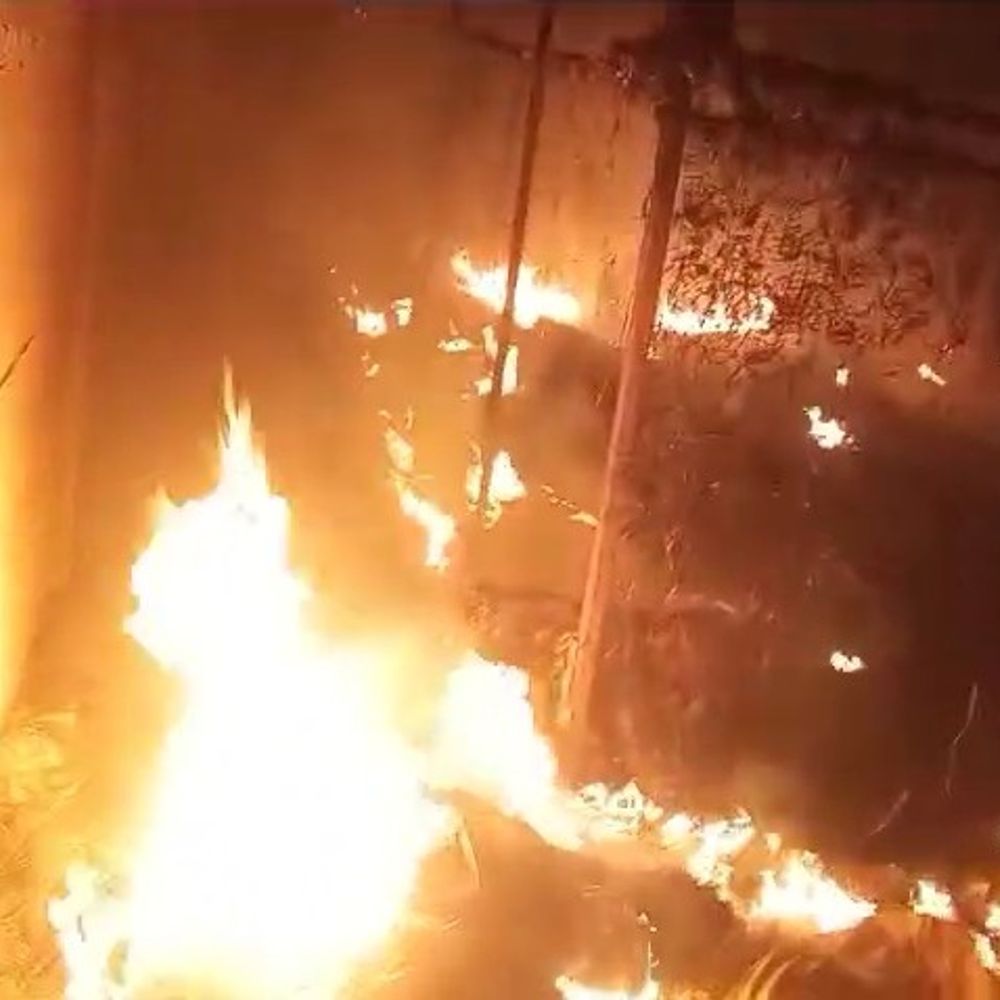 बेल्डिंग मशीन की चिंगारी से मुर्गी फार्म में लगी आग:फायर ब्रिगेड ने आग पर पाया काबू, रॉड बेल्डिंग का चल रहा था काम