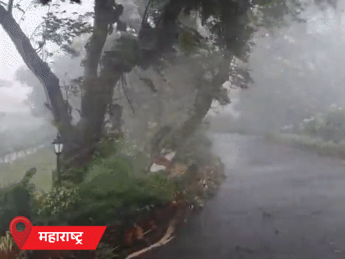 19 राज्यों में आंधी-बारिश के आसार:MP के 29 और यूपी के 39 जिलों में बारिश का अलर्ट; पश्चिम बंगाल में हीटवेव