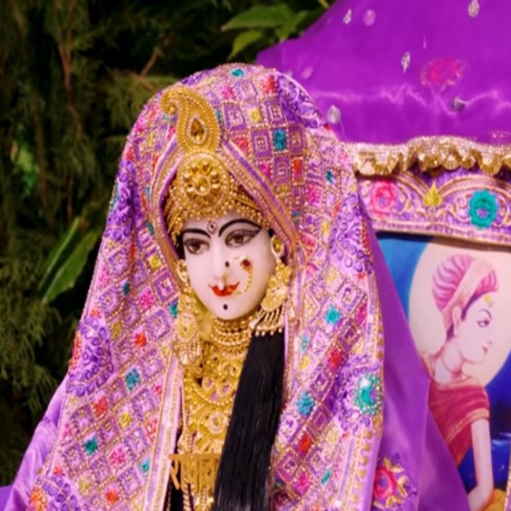 भगवान कृष्ण के वंशी अवतार का मनाया प्राकट्य उत्सव:भगवान राधा बल्लभ लाल मिले थे दहेज में,धार्मिक कार्यक्रम किए आयोजित