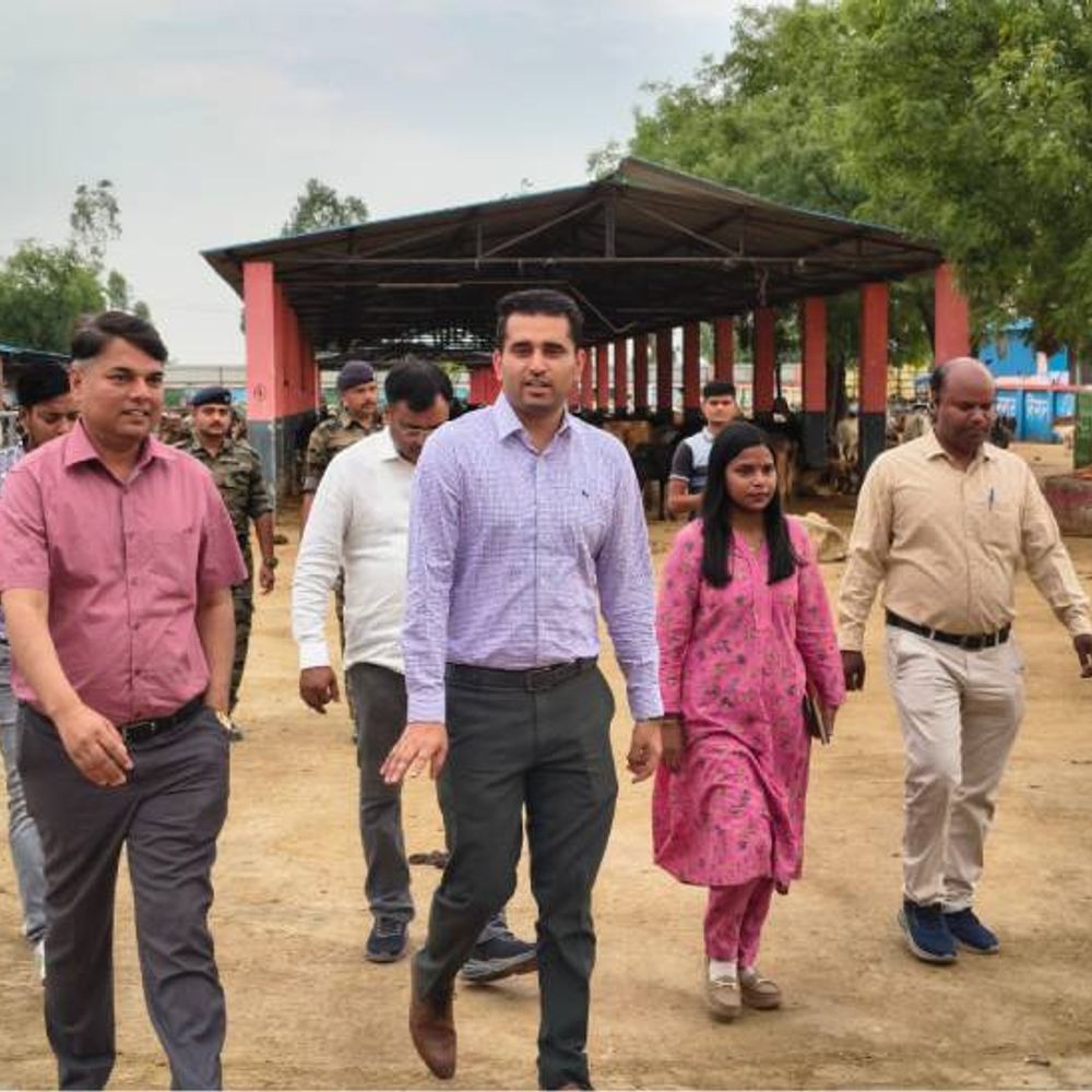 नगर आयुक्त ने गौशाला का किया निरीक्षण:नेपियर घास का उत्पादन 10 एकड़ करने के निर्देश, बेसहारा गोवंशों को किया जाए संरक्षित