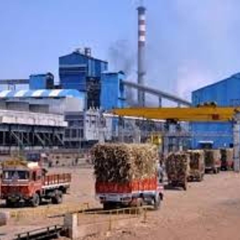 गन्ना भुगतान में देरी पर 3 चीनी मिलों पर कार्रवाई:गोला, पलिया और खंबारखेड़ा मिल के खिलाफ वसूली प्रमाण-पत्र जारी, 84% भुगतान अब तक