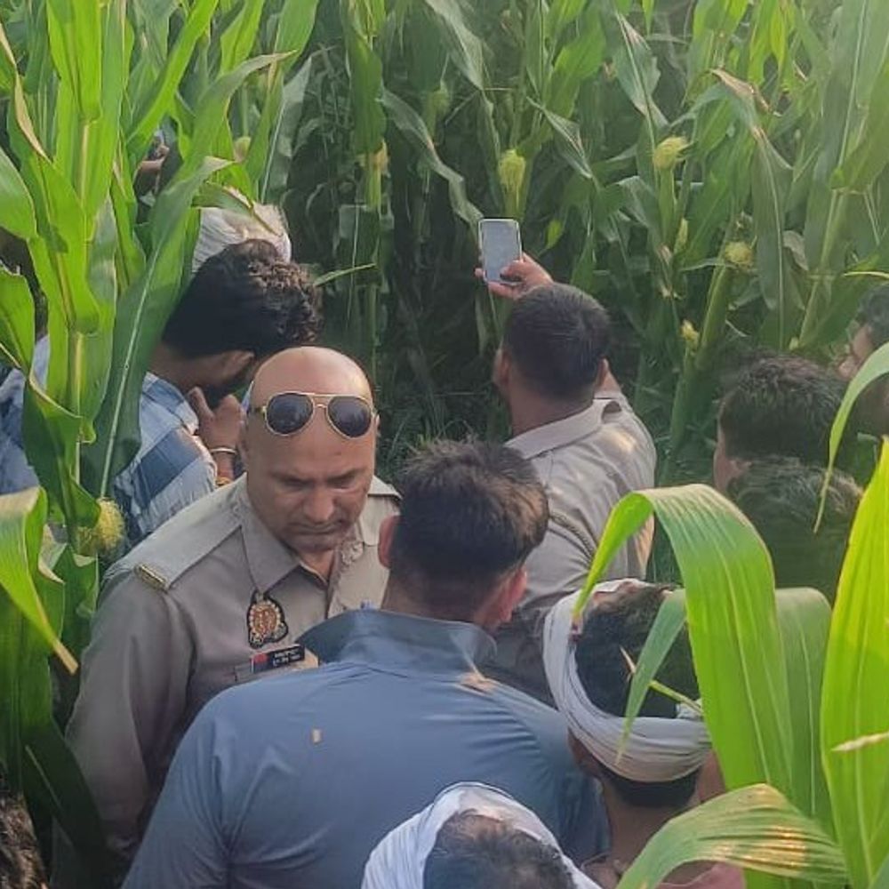 बुलंदशहर में खेत में मिला युवक का शव:गला रेतकर की गई हत्या, पहचान में जुटी पुलिस