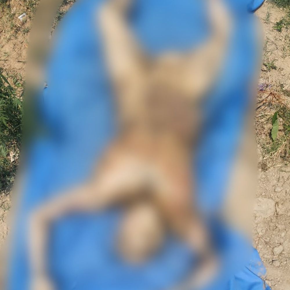 गंग नहर में मिला 30 साल के युवक का शव:शरीर पर नहीं थे कपड़े, पुलिस कर रही पहचान का प्रयास