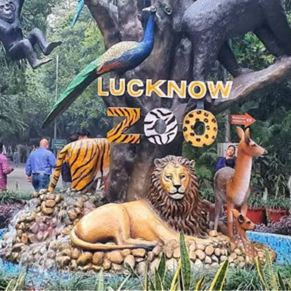 लखनऊ चिड़ियाघर 14 मई से 7 दिन बंद:गोरखपुर में बाघिन की मौत के बाद अलर्ट, बर्ड फ्लू की आशंका