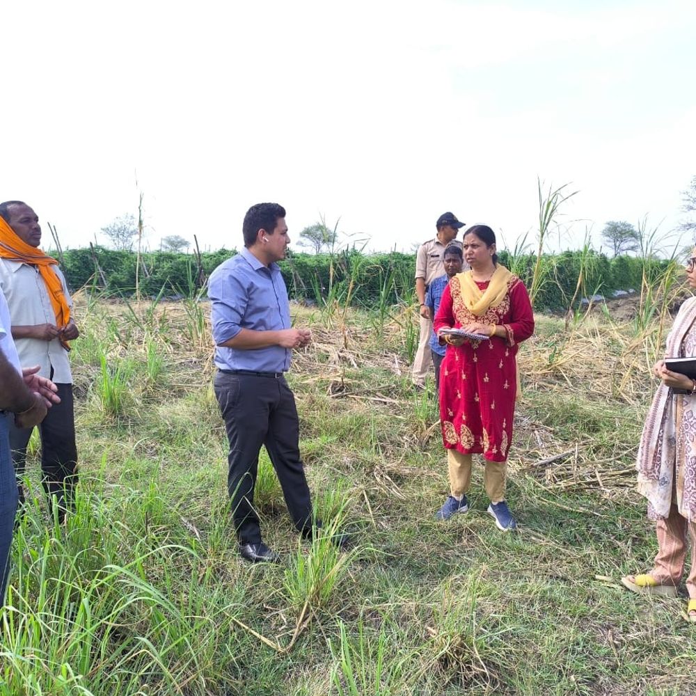 अनूपपुर में बीज उत्पादक सहकारी संस्था का निरीक्षण:8 गांवों के 57 किसान जुड़े, धान-गेहूं-दाल के बीज तैयार करते हैं