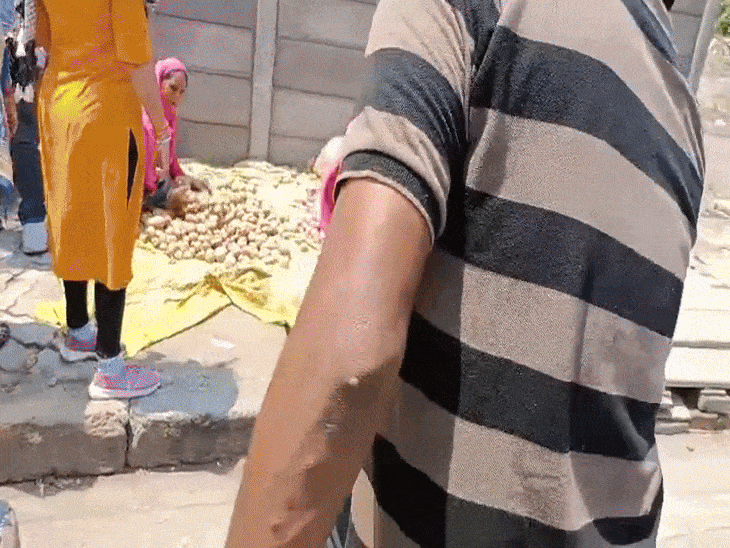 इंदौर के महू नाका पर निगम की कार्रवाई पर हंगामा:महिलाओं ने सड़क पर फेंकी सब्जियां; टीम ने 1 ट्रक सामान किया जब्त